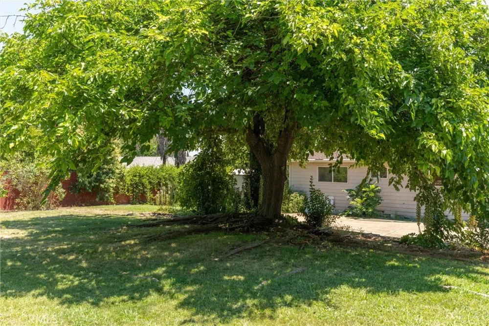 1670 Alma Oroville, CA 95965