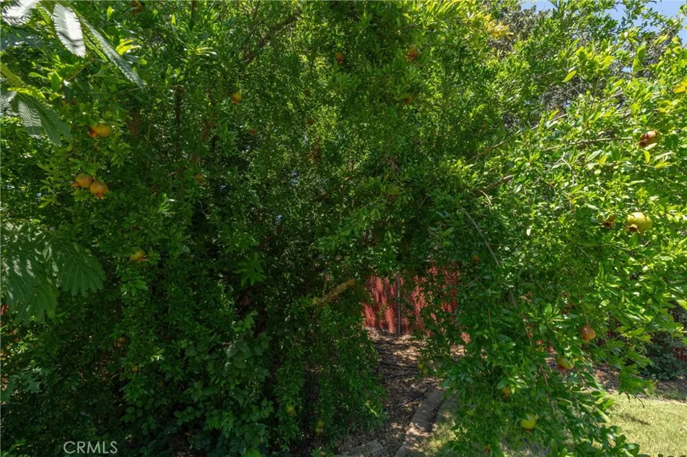 1670 Alma Oroville, CA 95965