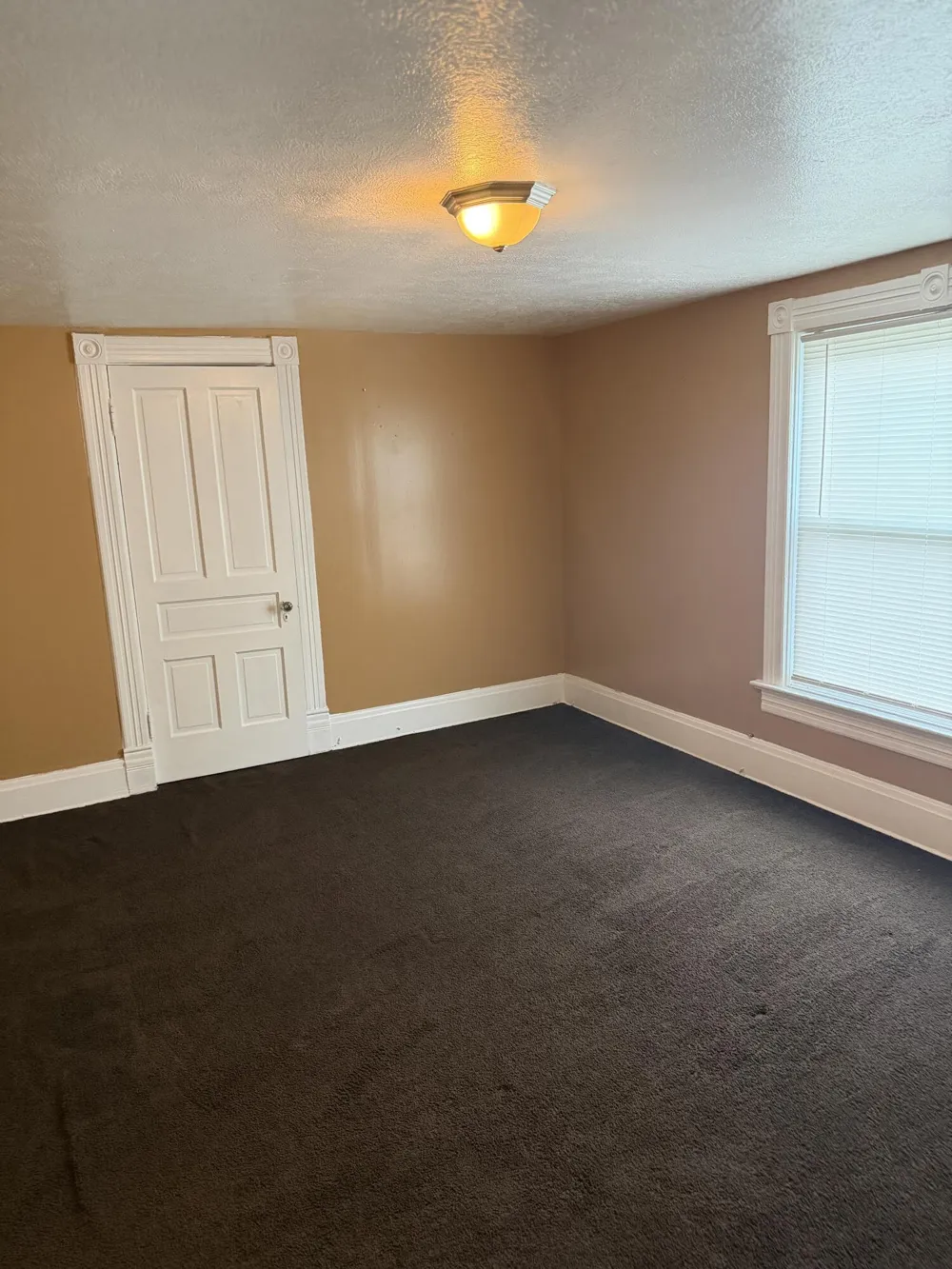 905 Burr Oak Street Albion City, MI 49224
