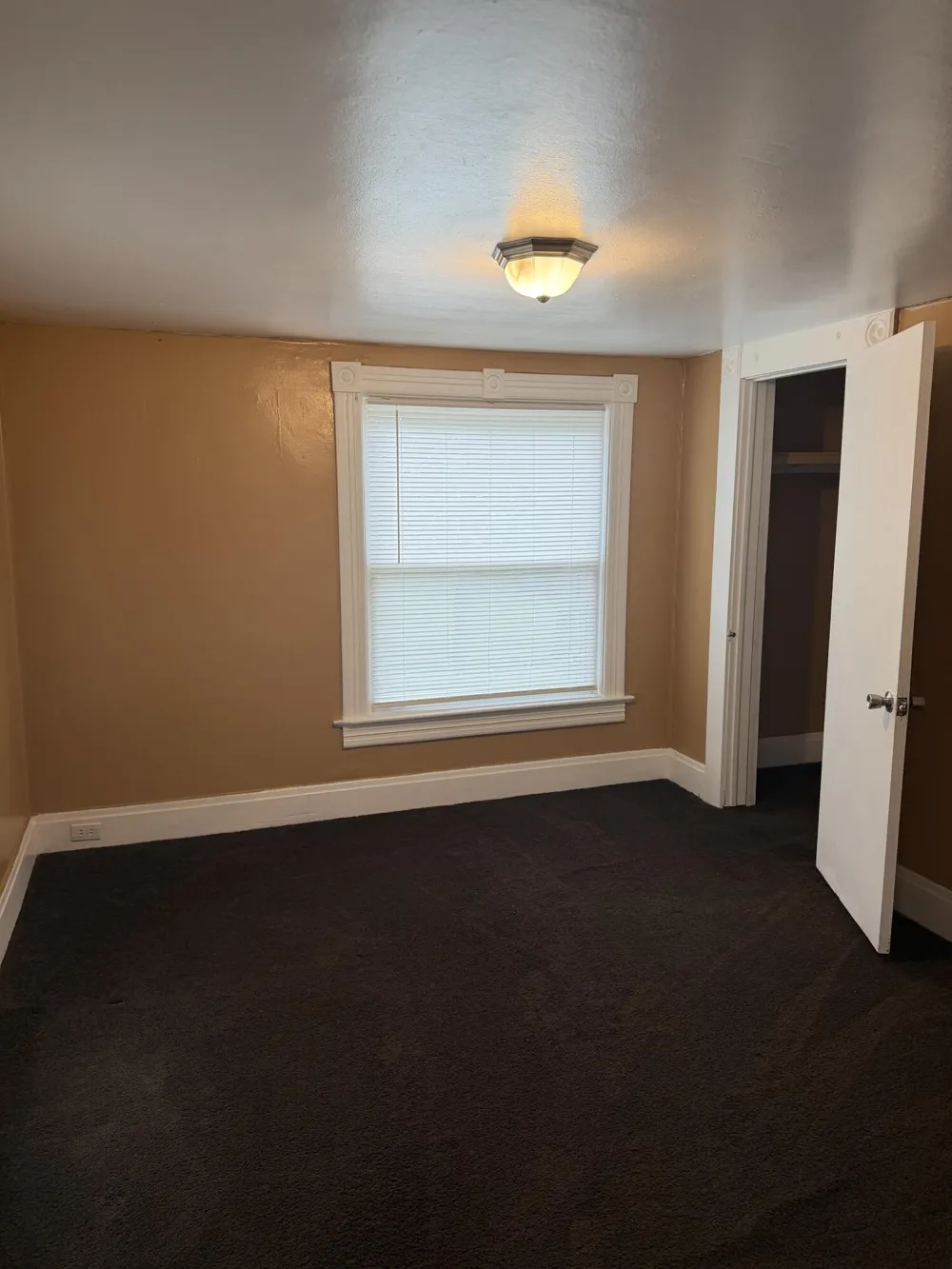 905 Burr Oak Street Albion City, MI 49224