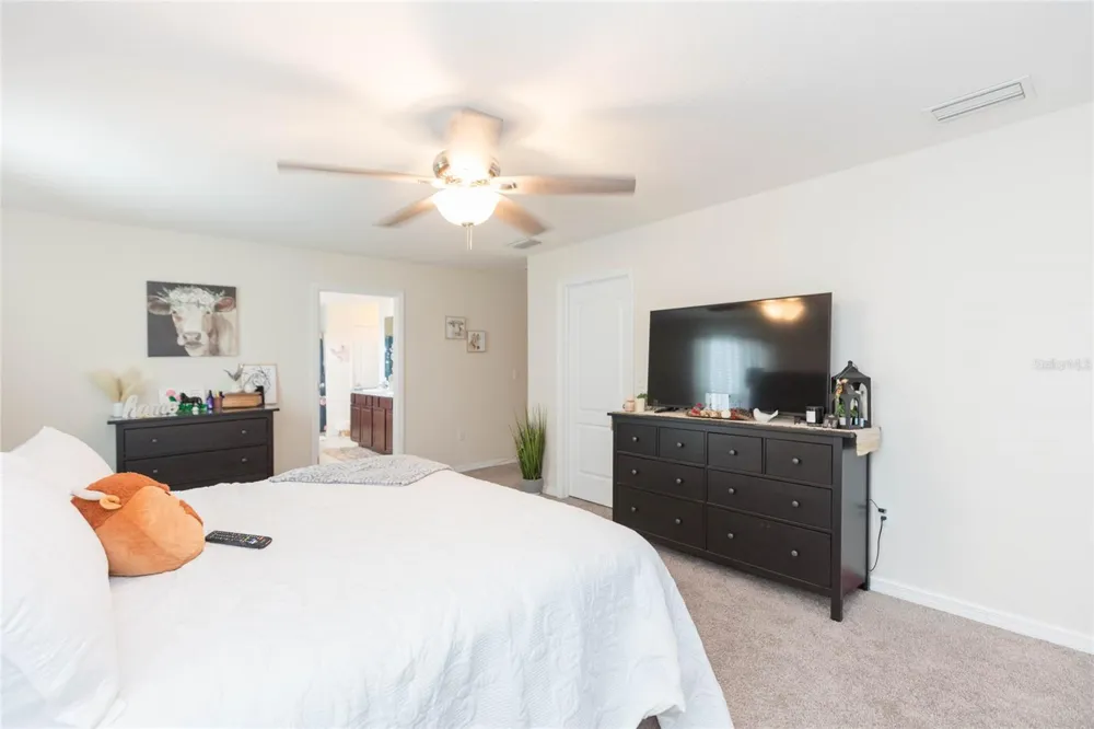 3514 SAN MOISE PLACE Plant City, FL 33567