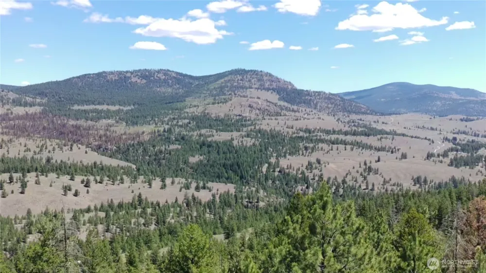 132 W Cayuse Mtn Road Tonasket, WA 98855