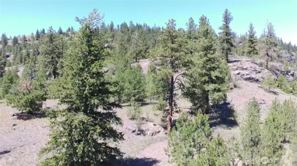 132 W Cayuse Mtn Road Tonasket, WA 98855