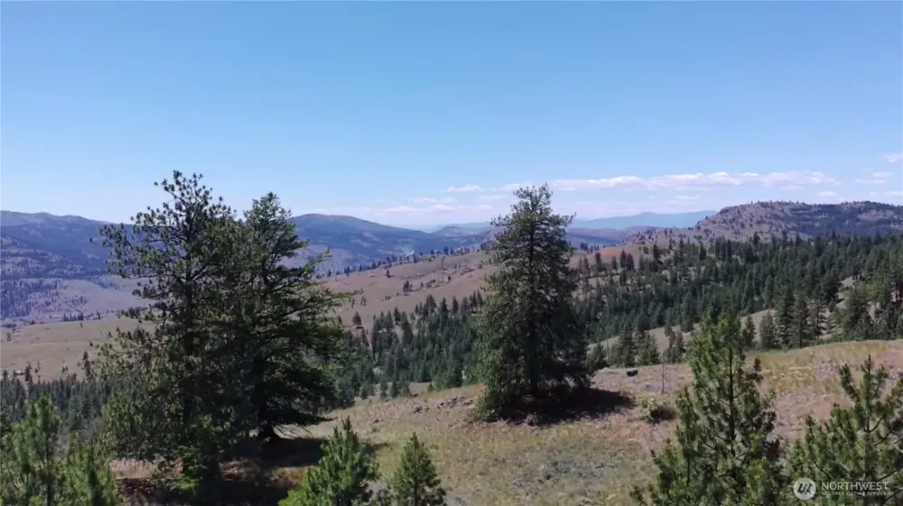 132 W Cayuse Mtn Road Tonasket, WA 98855
