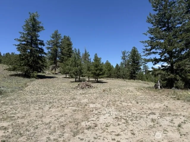 132 W Cayuse Mtn Road Tonasket, WA 98855