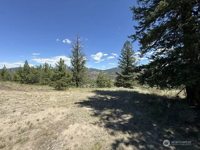 132 W Cayuse Mtn Road Tonasket, WA 98855