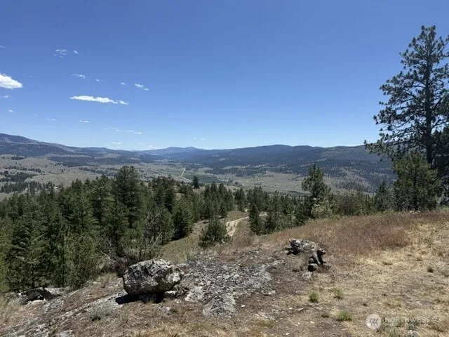 132 W Cayuse Mtn Road Tonasket, WA 98855