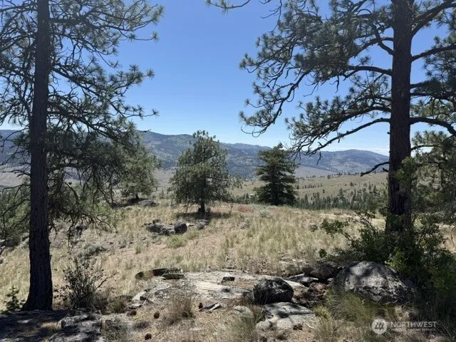 132 W Cayuse Mtn Road Tonasket, WA 98855