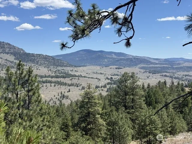 132 W Cayuse Mtn Road Tonasket, WA 98855
