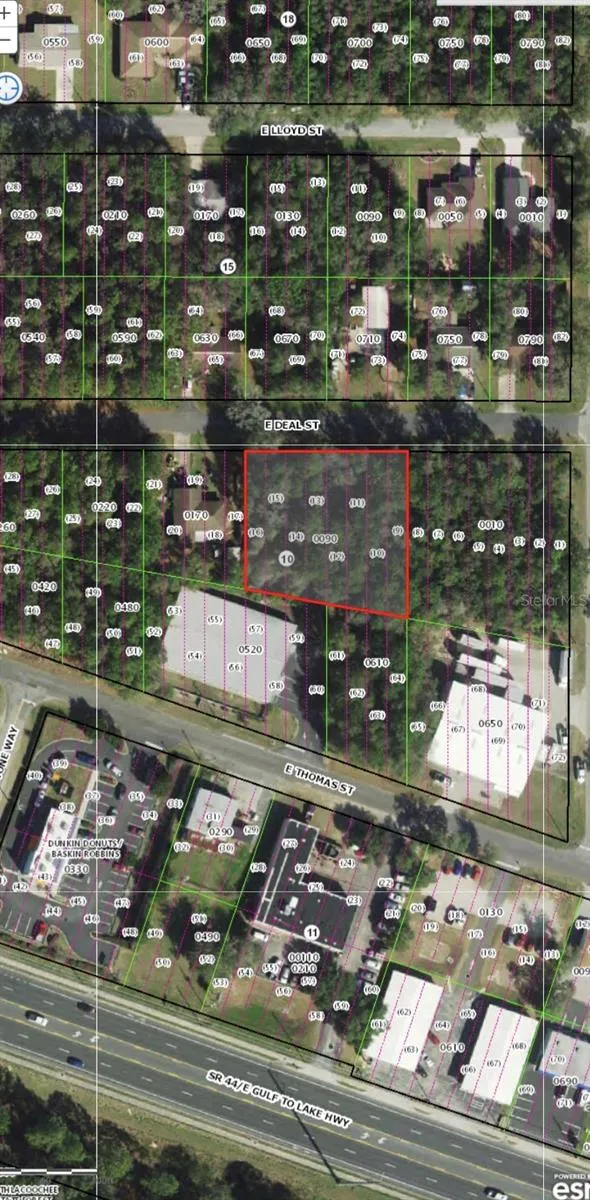 3118 E DEAL STREET Inverness, FL 34453