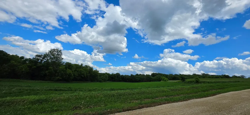 TBD (L3B1) 410 AVENUE Mazeppa, MN 55956