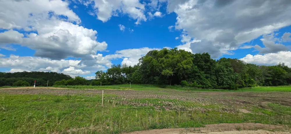 TBD (L3B1) 410 AVENUE Mazeppa, MN 55956