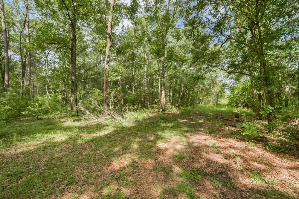 1706 County Road 3011 Dayton, TX 77535