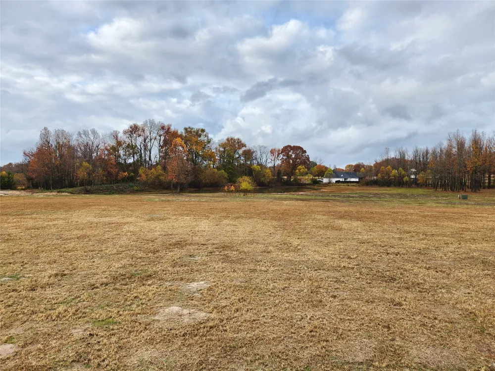 CR 2230 Mineola, TX 75773