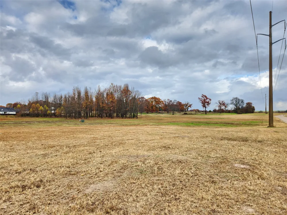CR 2230 Mineola, TX 75773