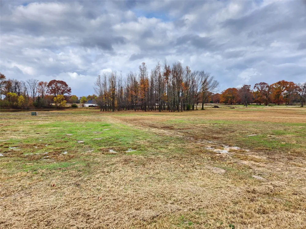 CR 2230 Mineola, TX 75773