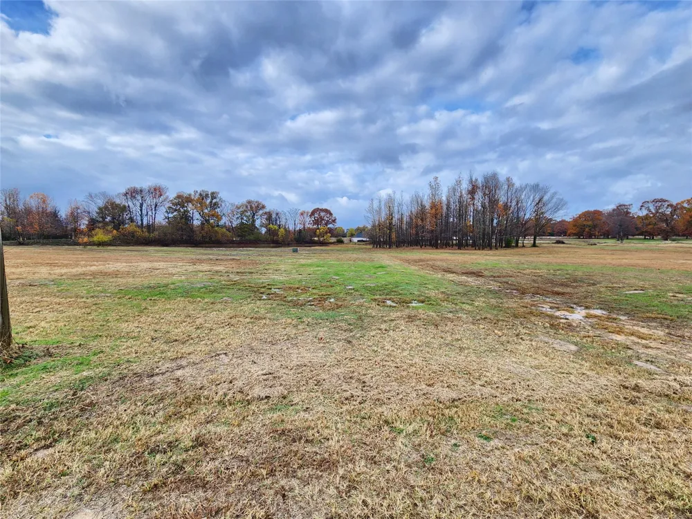 CR 2230 Mineola, TX 75773