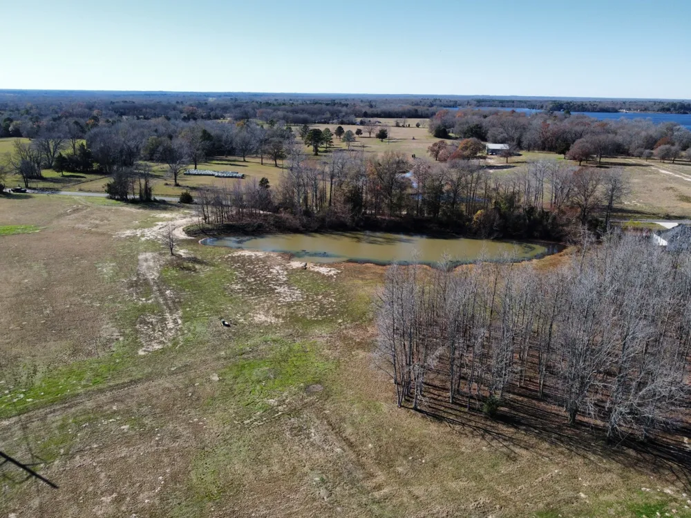CR 2230 Mineola, TX 75773