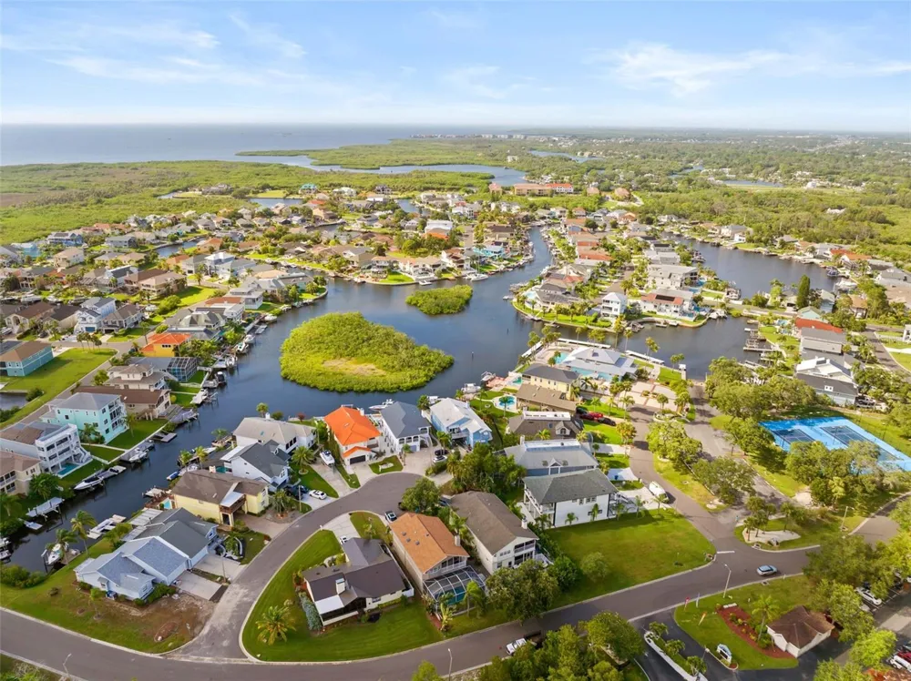4516 SEAGULL DRIVE #419 New Port Richey, FL 34652