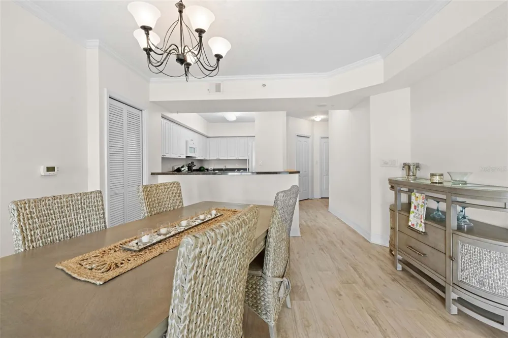 4516 SEAGULL DRIVE #419 New Port Richey, FL 34652
