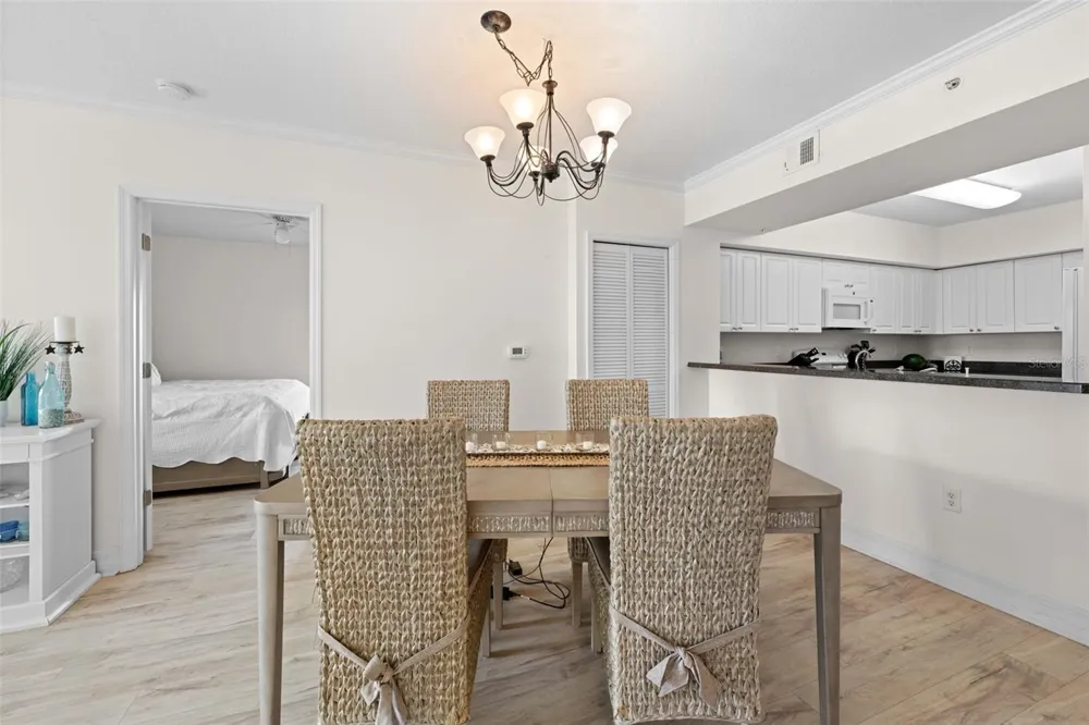 4516 SEAGULL DRIVE #419 New Port Richey, FL 34652