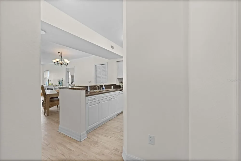 4516 SEAGULL DRIVE #419 New Port Richey, FL 34652