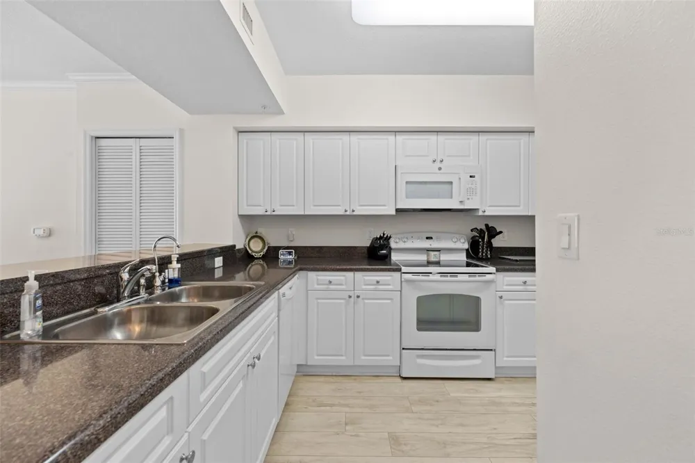 4516 SEAGULL DRIVE #419 New Port Richey, FL 34652