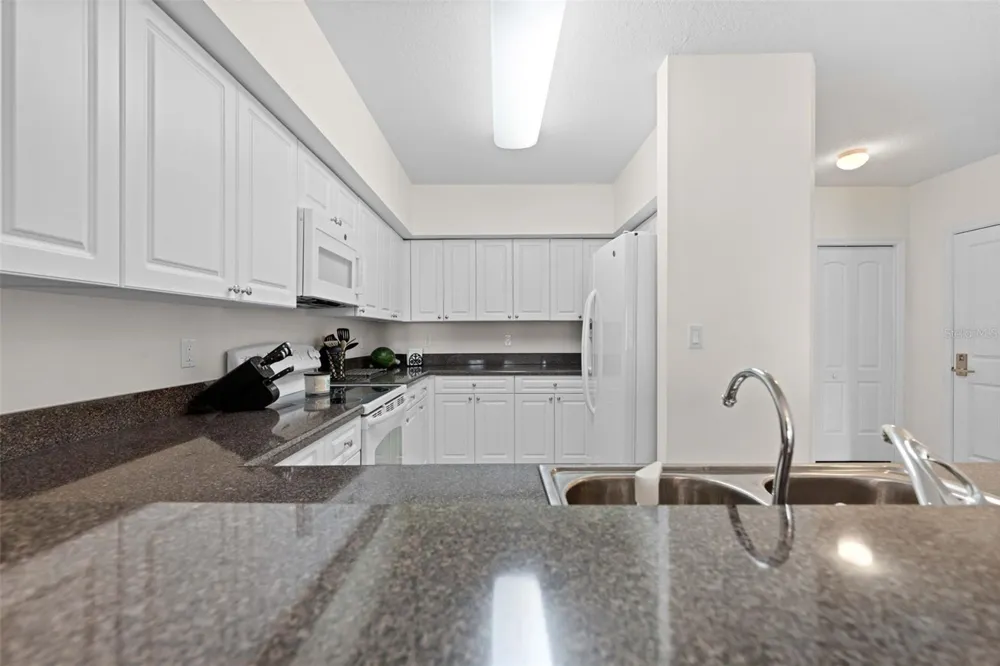 4516 SEAGULL DRIVE #419 New Port Richey, FL 34652