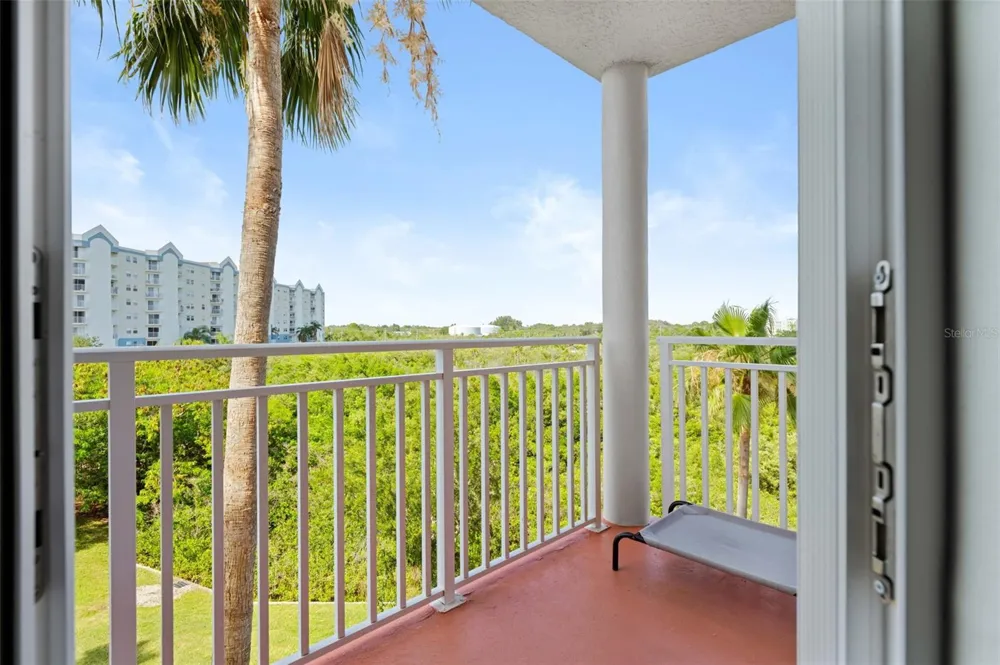 4516 SEAGULL DRIVE #419 New Port Richey, FL 34652