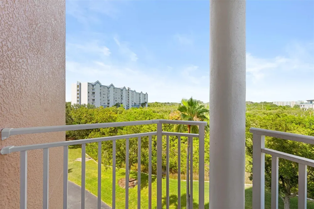 4516 SEAGULL DRIVE #419 New Port Richey, FL 34652