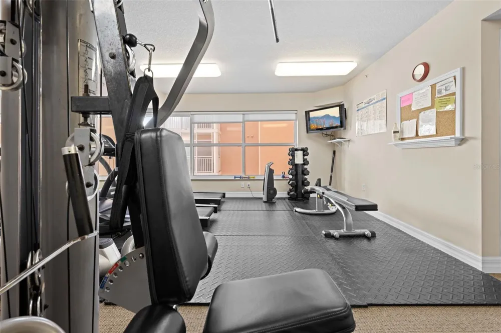 4516 SEAGULL DRIVE #419 New Port Richey, FL 34652