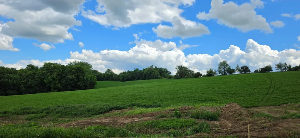 TBD (L9B1) 408 AVENUE Mazeppa, MN 55956