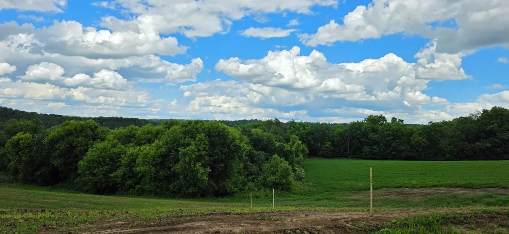 TBD (L9B1) 408 AVENUE Mazeppa, MN 55956