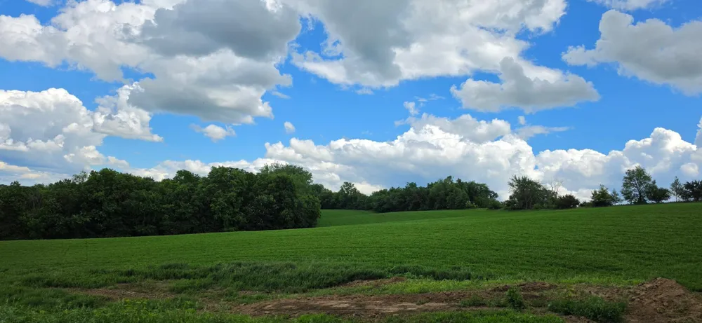 TBD (L5B1) 410 AVENUE Mazeppa, MN 55956