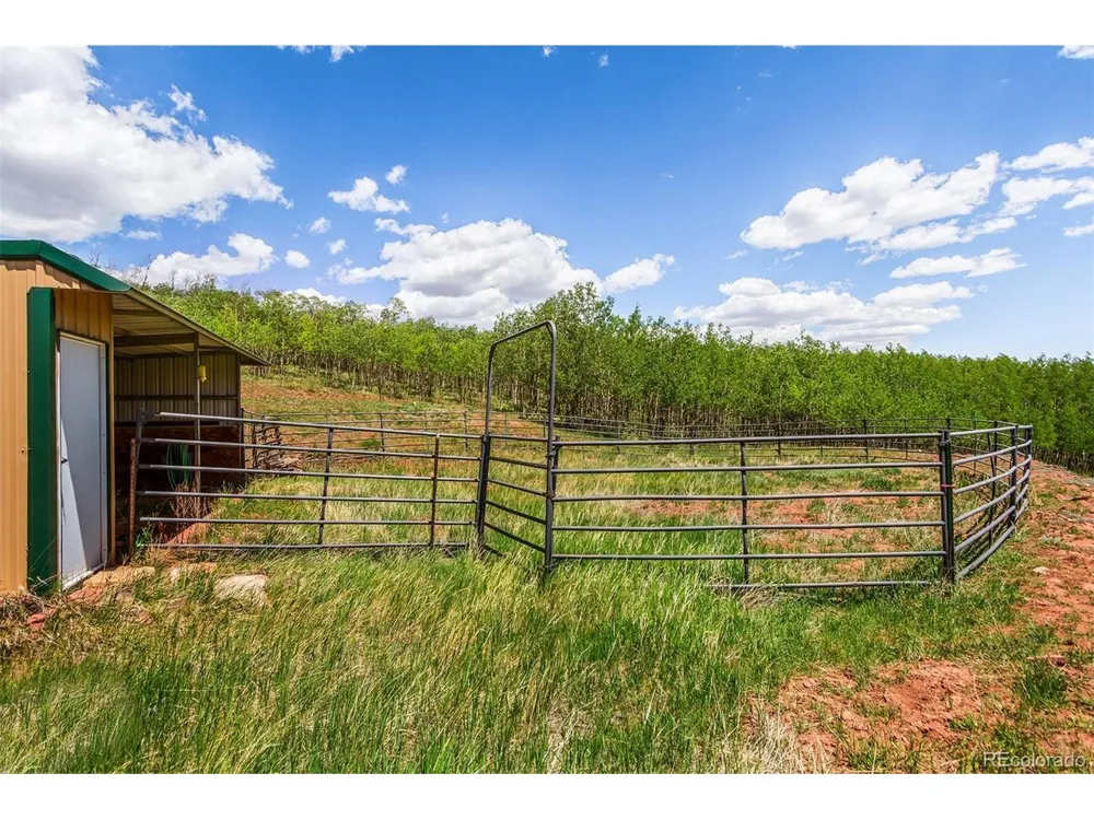 36 Iron Mountain Road Fairplay, CO 80440