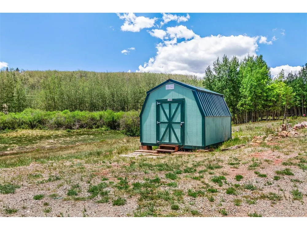 36 Iron Mountain Road Fairplay, CO 80440