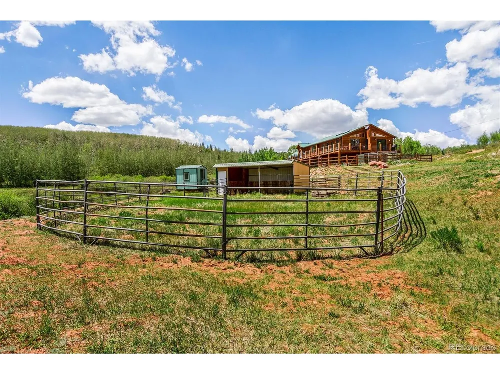 36 Iron Mountain Road Fairplay, CO 80440