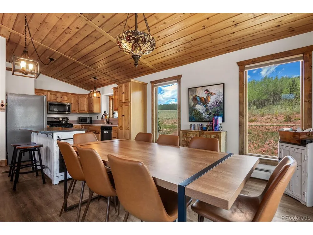 36 Iron Mountain Road Fairplay, CO 80440