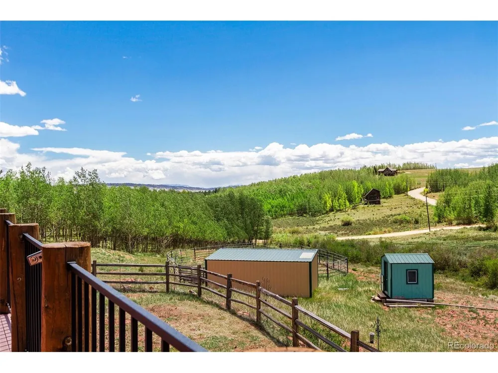 36 Iron Mountain Road Fairplay, CO 80440
