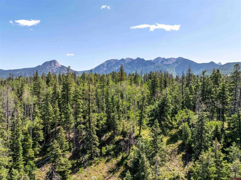 280 Sultan Drive Durango, CO 81301