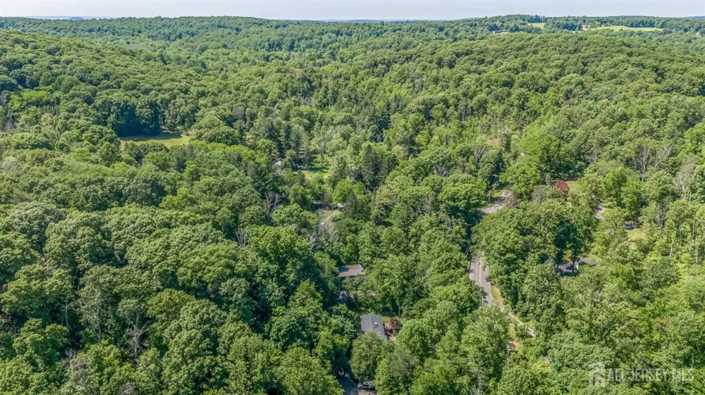 11 Pine Ridge Road Califon, NJ 07830