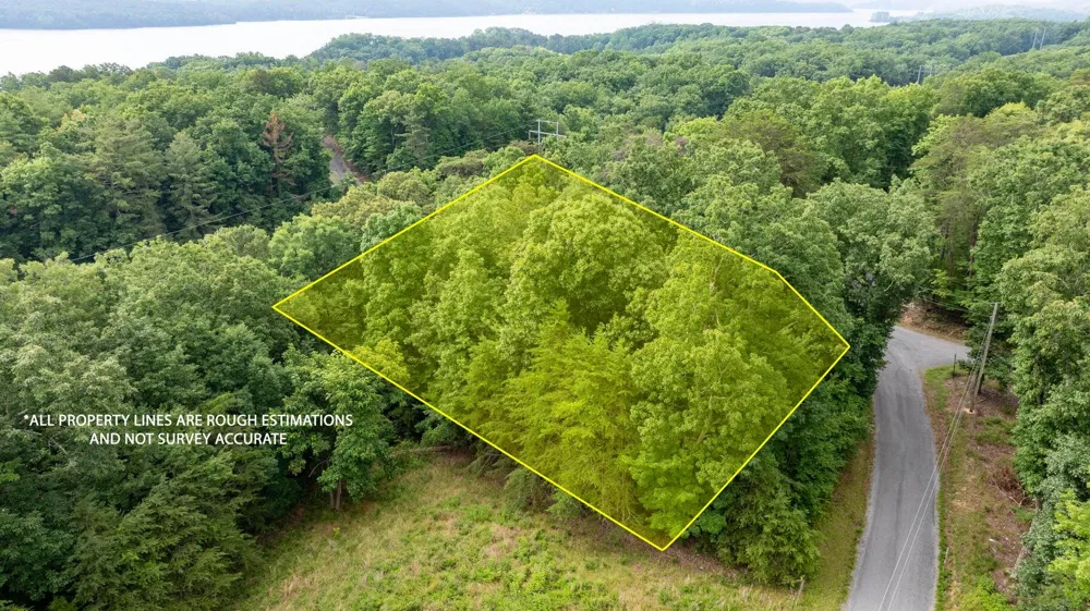 165 Maple Drive Spring City, TN 37381