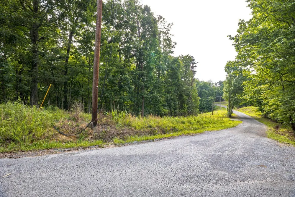 165 Maple Drive Spring City, TN 37381