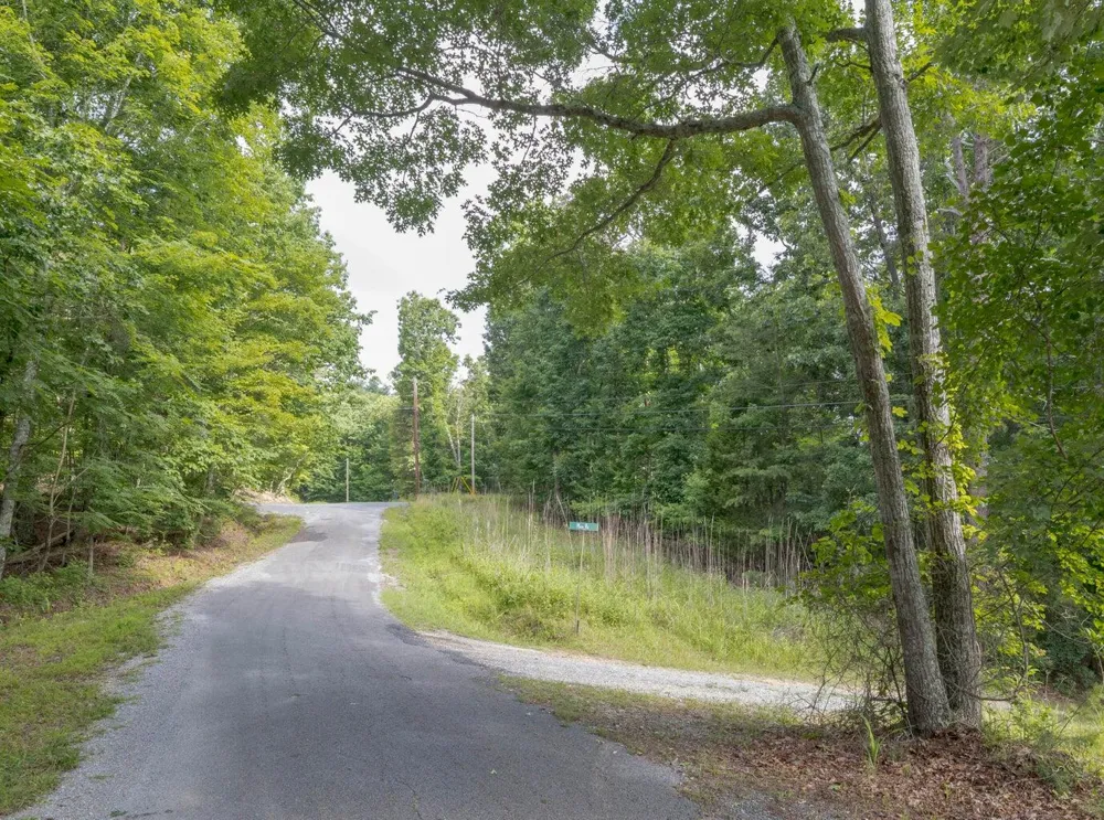 165 Maple Drive Spring City, TN 37381