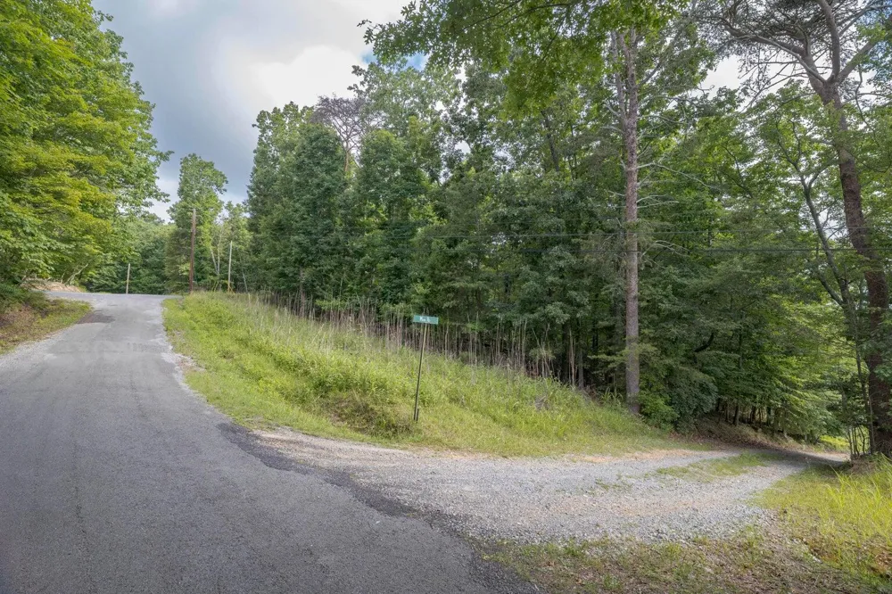 165 Maple Drive Spring City, TN 37381