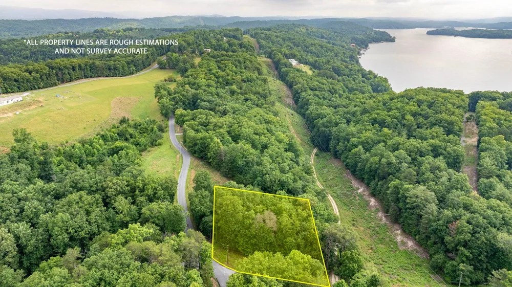 165 Maple Drive Spring City, TN 37381