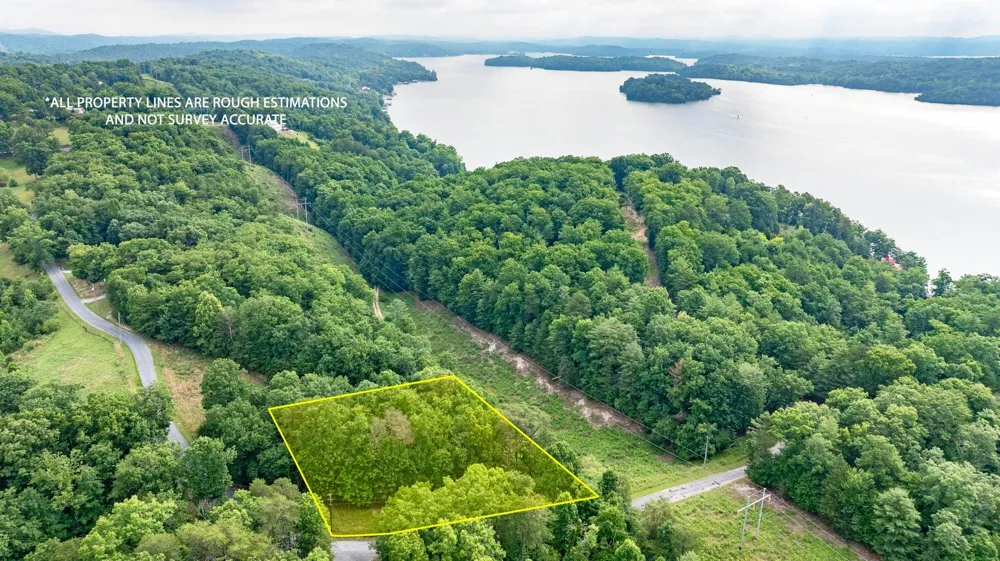 165 Maple Drive Spring City, TN 37381
