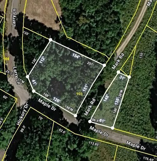 165 Maple Drive Spring City, TN 37381