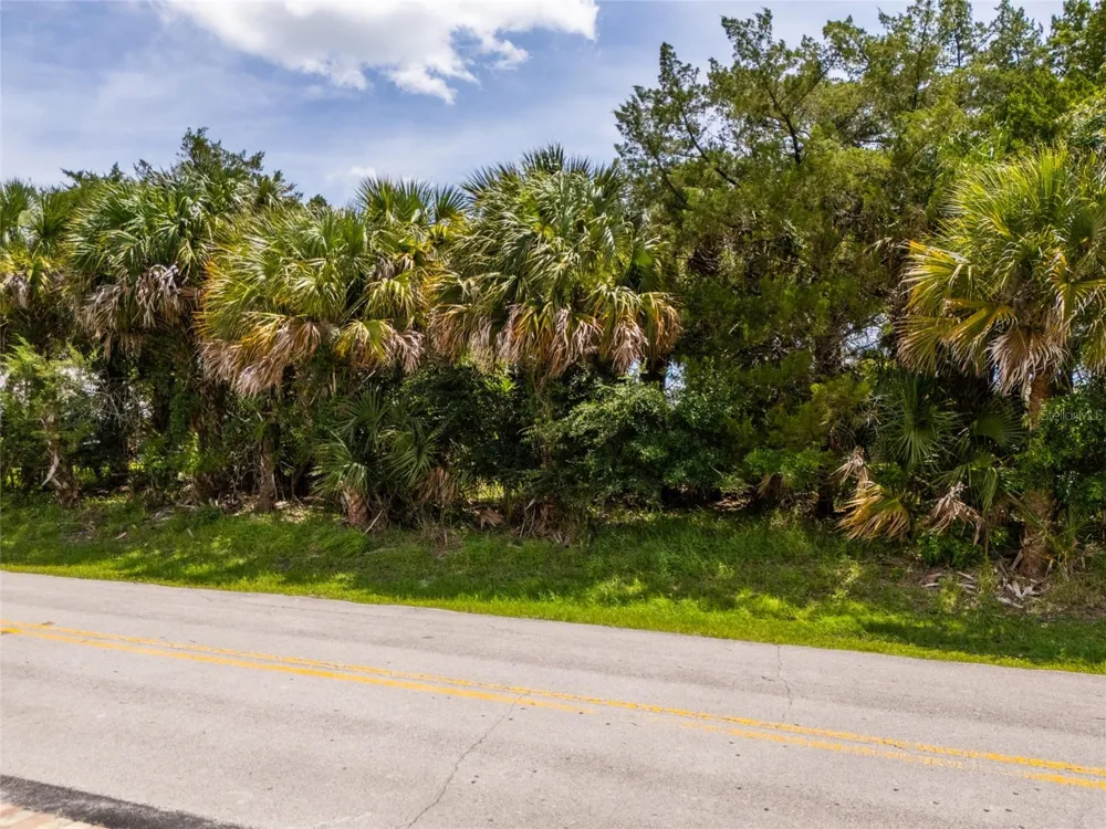 34 COCHISE COURT Palm Coast, FL 32137