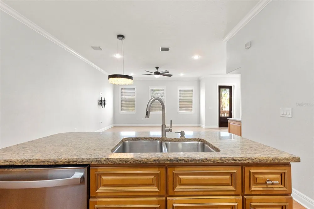 905 VILLA VENICIA WAY Tampa, FL 33606